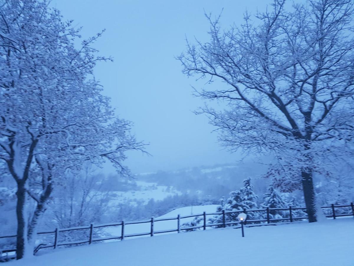 Casa Vacanze Fattoria Il Cerro Villa Pianelleto Eksteriør billede