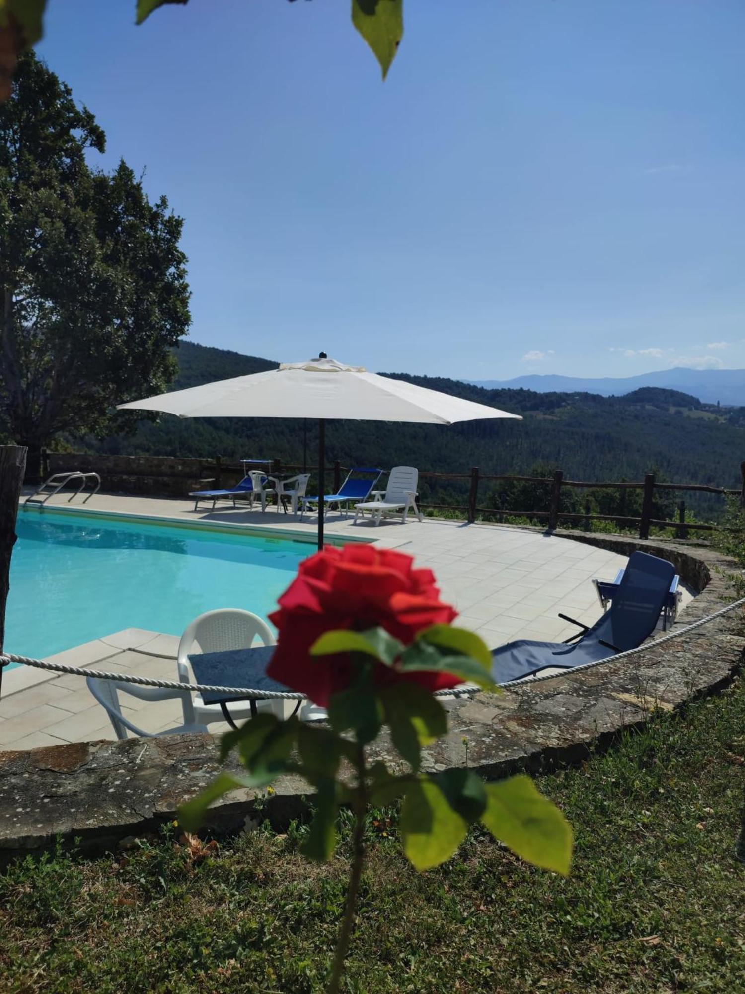 Casa Vacanze Fattoria Il Cerro Villa Pianelleto Eksteriør billede