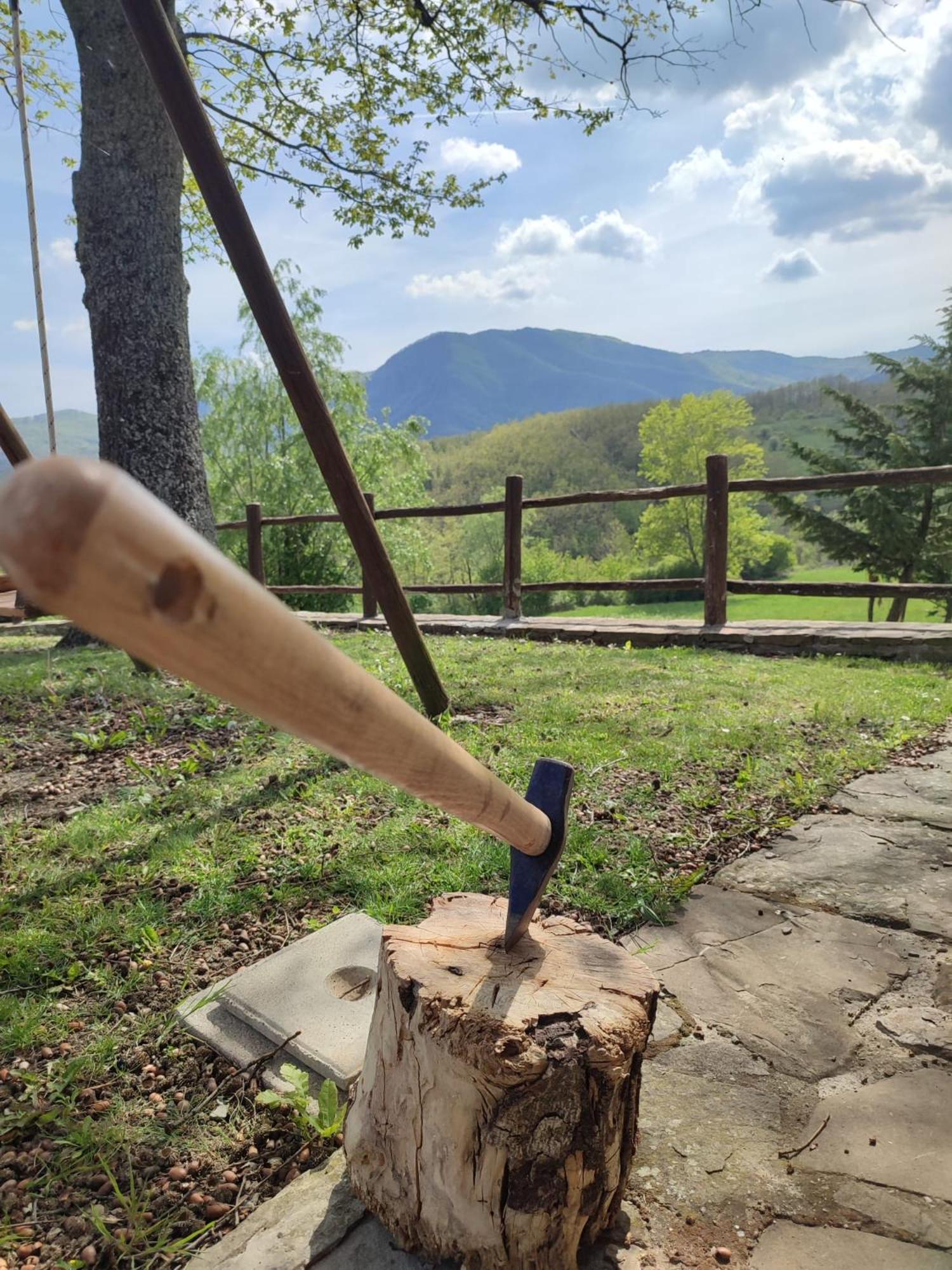 Casa Vacanze Fattoria Il Cerro Villa Pianelleto Eksteriør billede